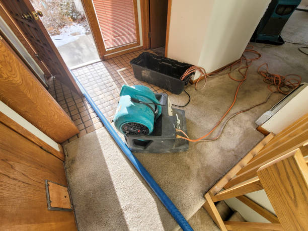 Best Sewage cleanup and water damage restoration  in Wapello, IA