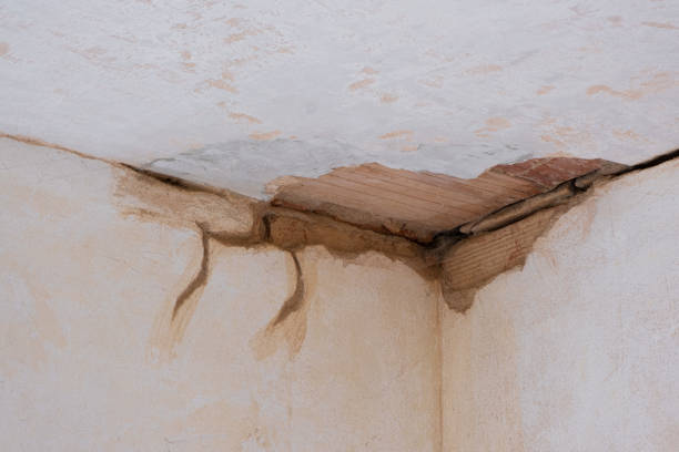 Local water damage restoration in Wapello, IA