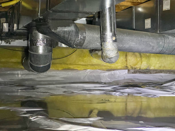 Best Water damage restoration near me  in Wapello, IA