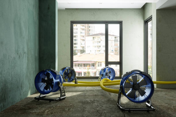 Best Sewage cleanup and water damage restoration  in Wapello, IA